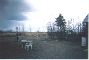 backyard.jpg